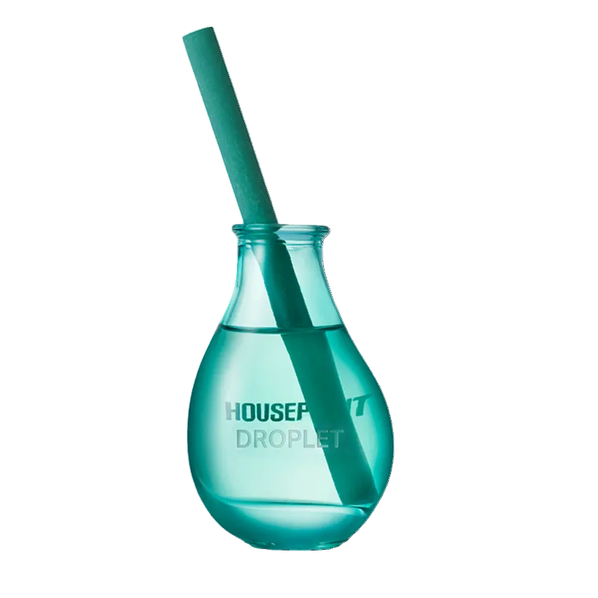 Houseplant Reed Diffuser – C.O. Bigelow