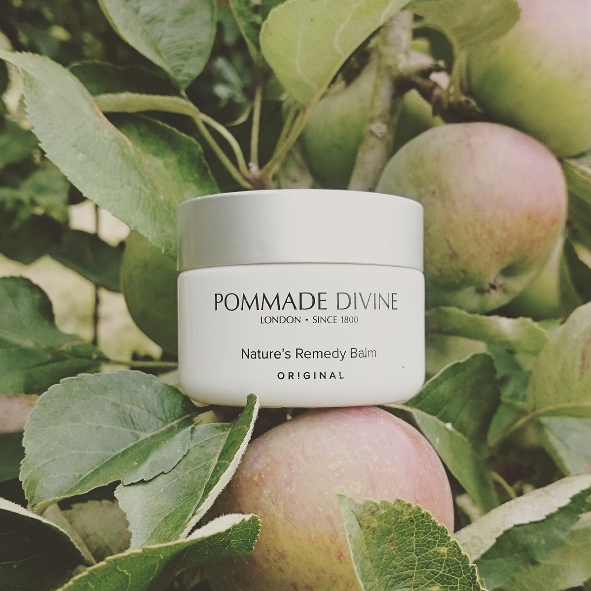 Pommade Divine