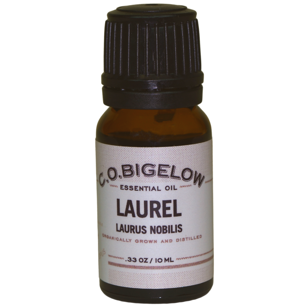 Essential Oil - Laurel - 10 ml