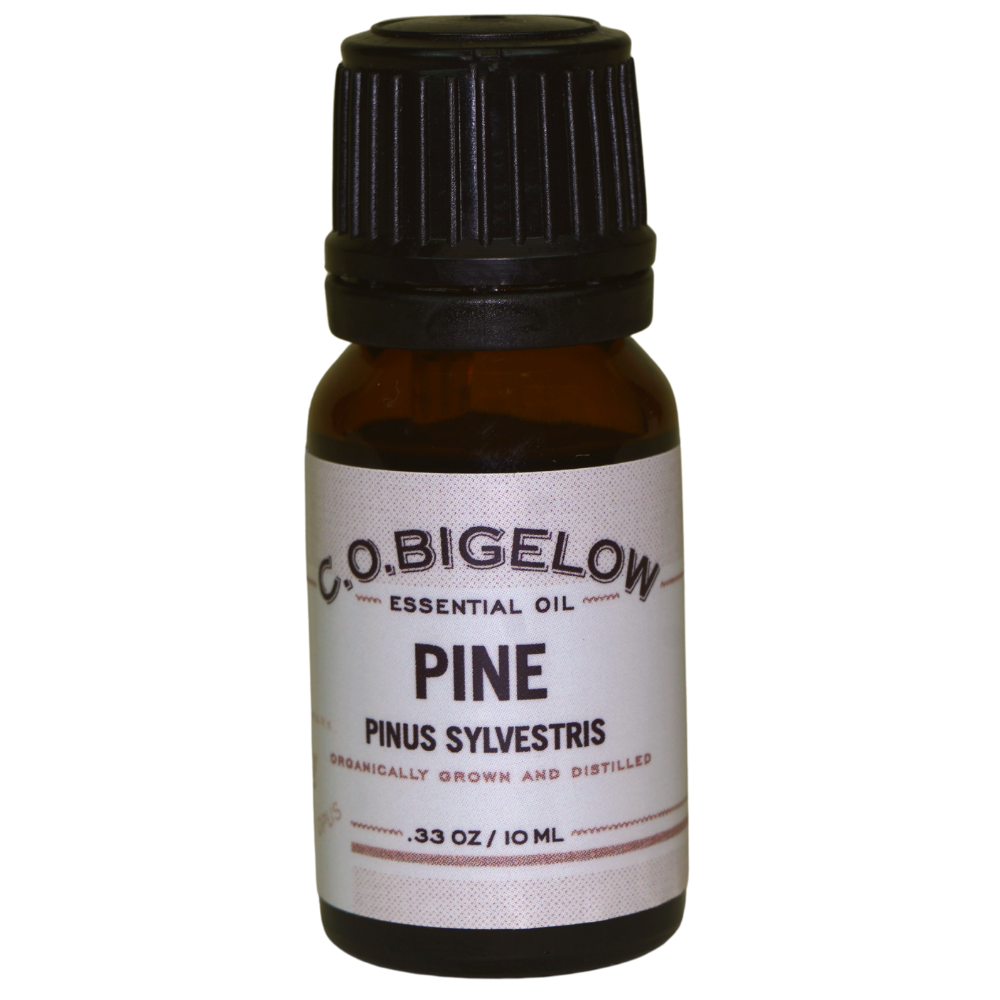 Essential Oil - Pine - 10 ml