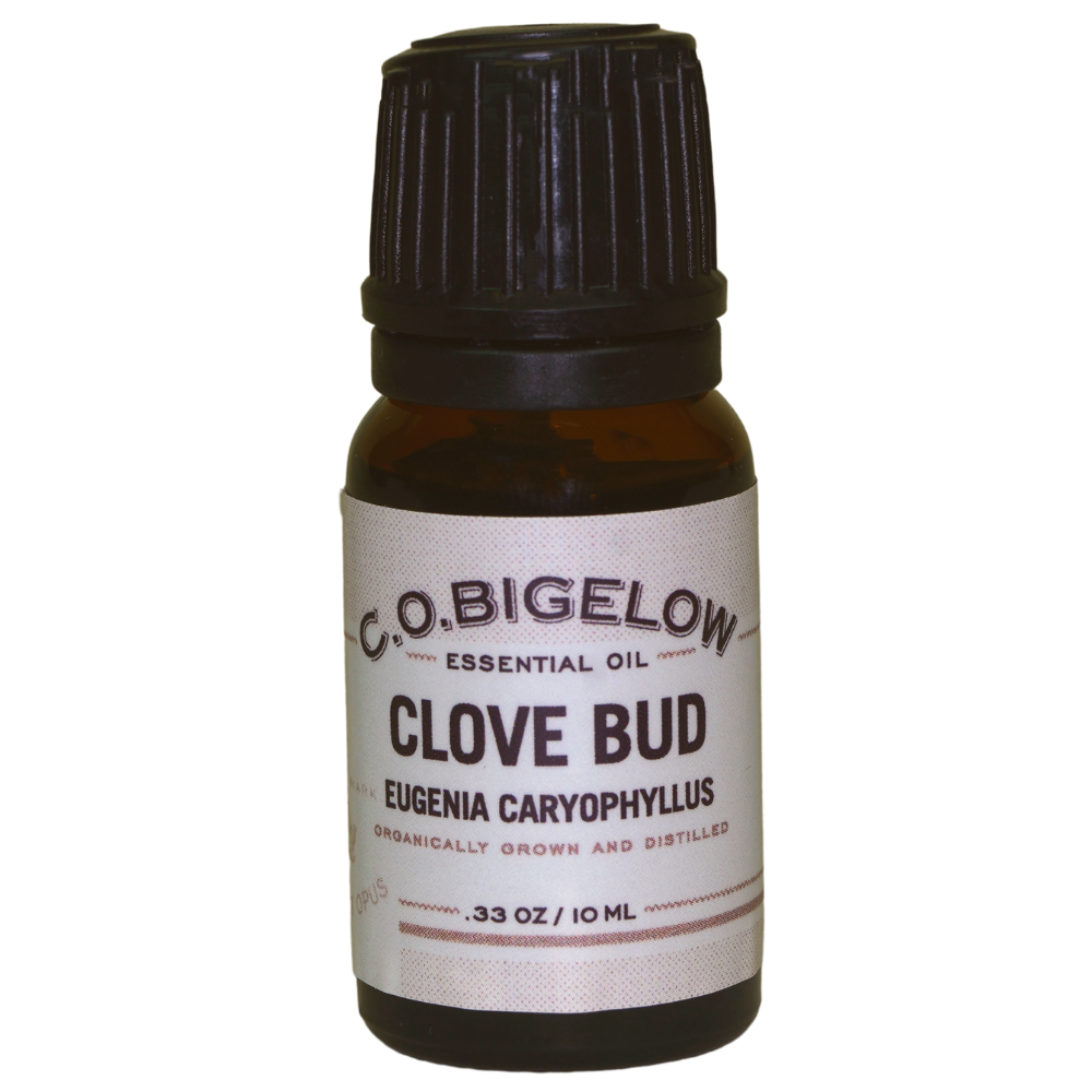 Essential Oil - Clove Bud - 10 ml