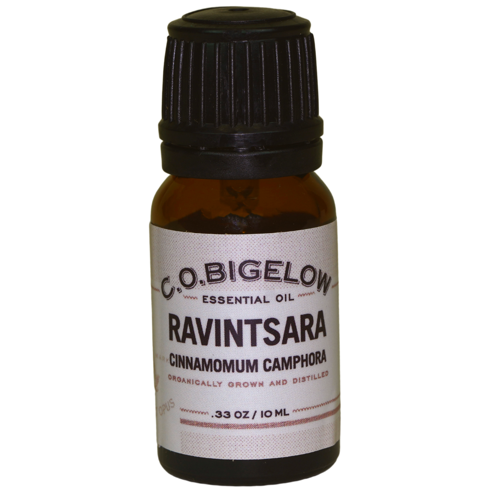 Essential Oil - Ravintsara -10 ml