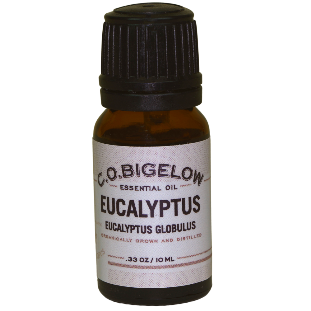 Essential Oil - Eucalyptus - 10 ml