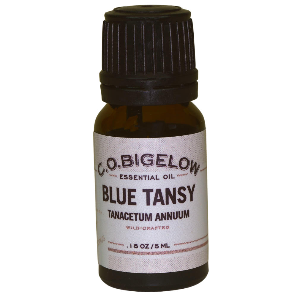 Essential Oil - Blue Tansy -  5ml