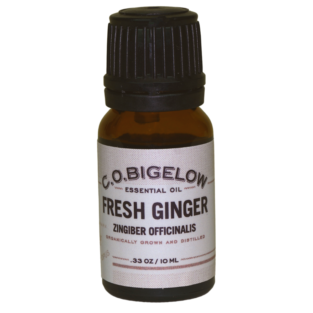 Essential Oil - Fresh Ginger - 10 ml