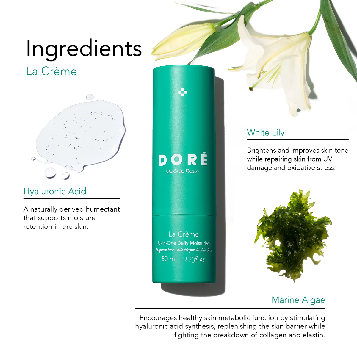Doré La Creme All-In-One Daily Moisturizer on white background next to key ingredients.