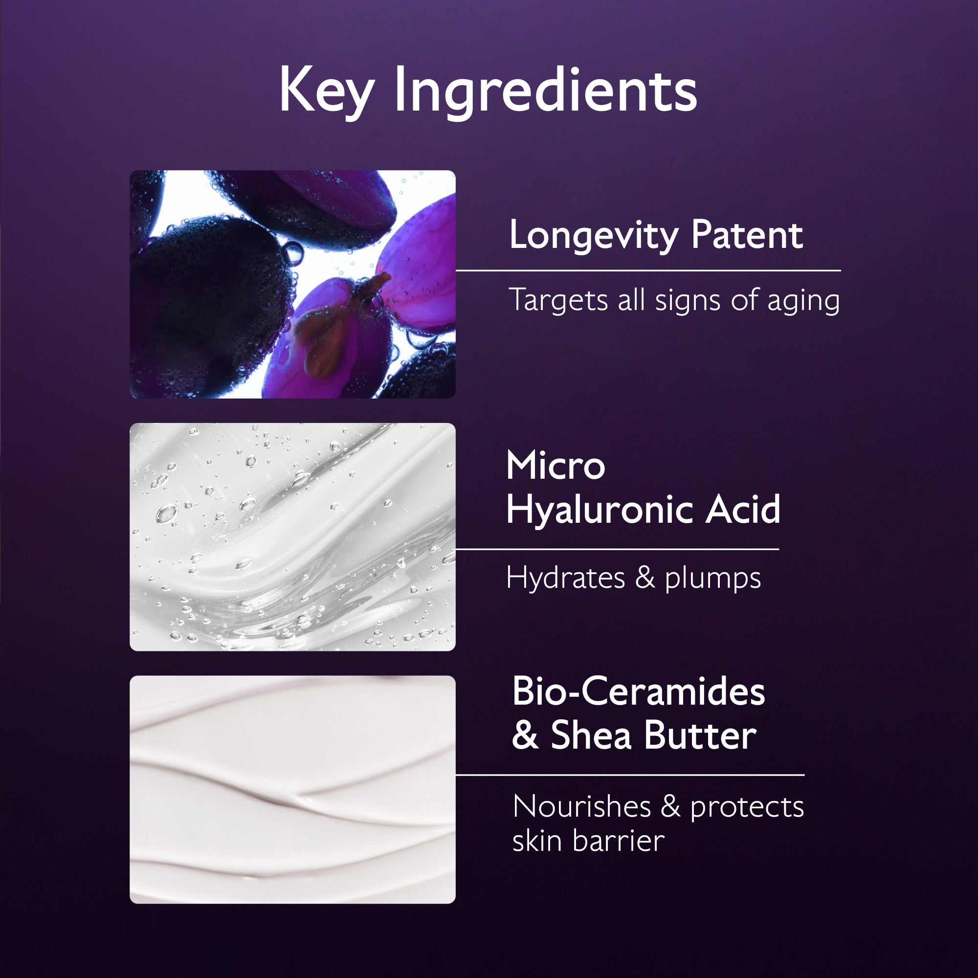 List of key ingredients with corresponding images and descriptions on a purple background