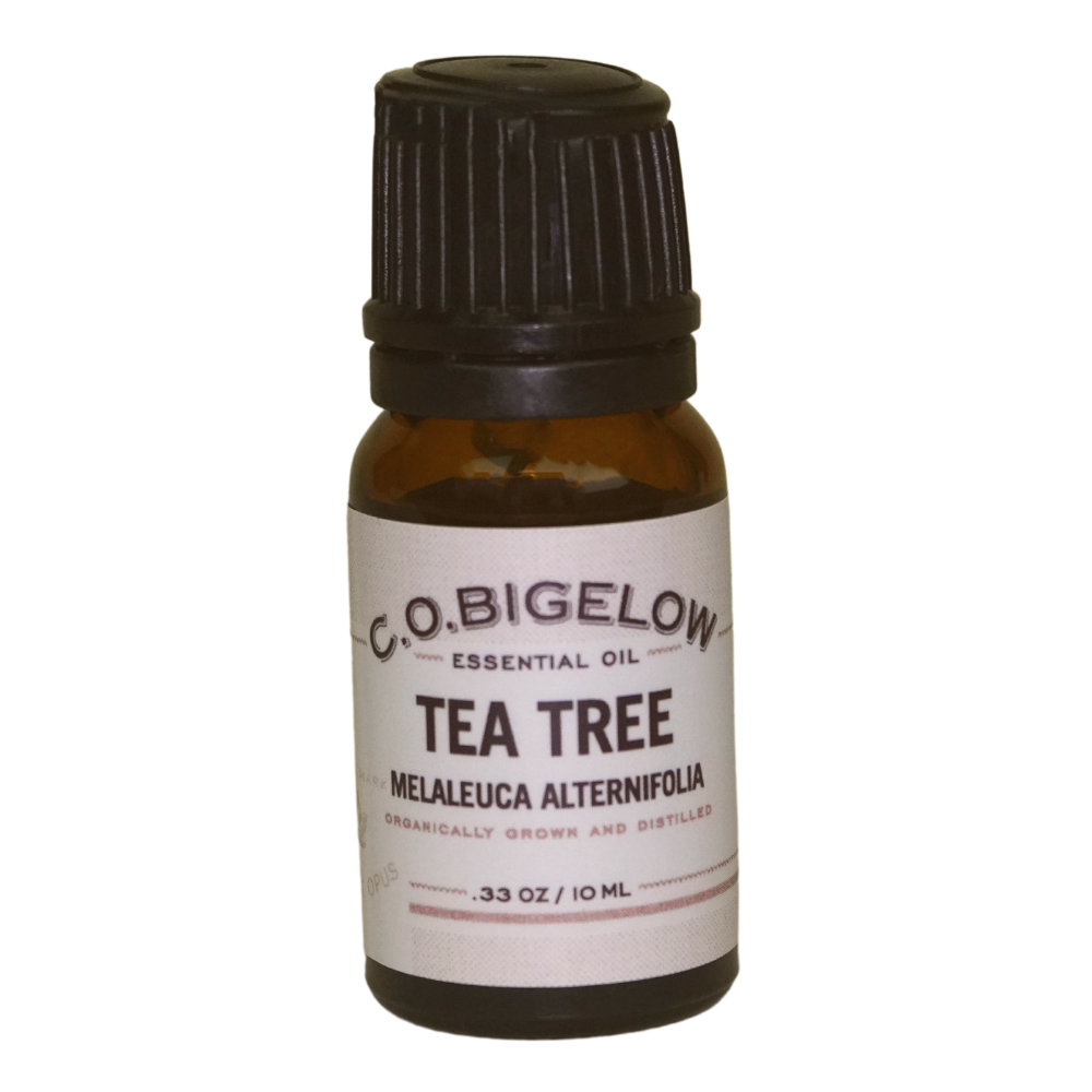 Essential Oil - Tea Tree - 10 ml