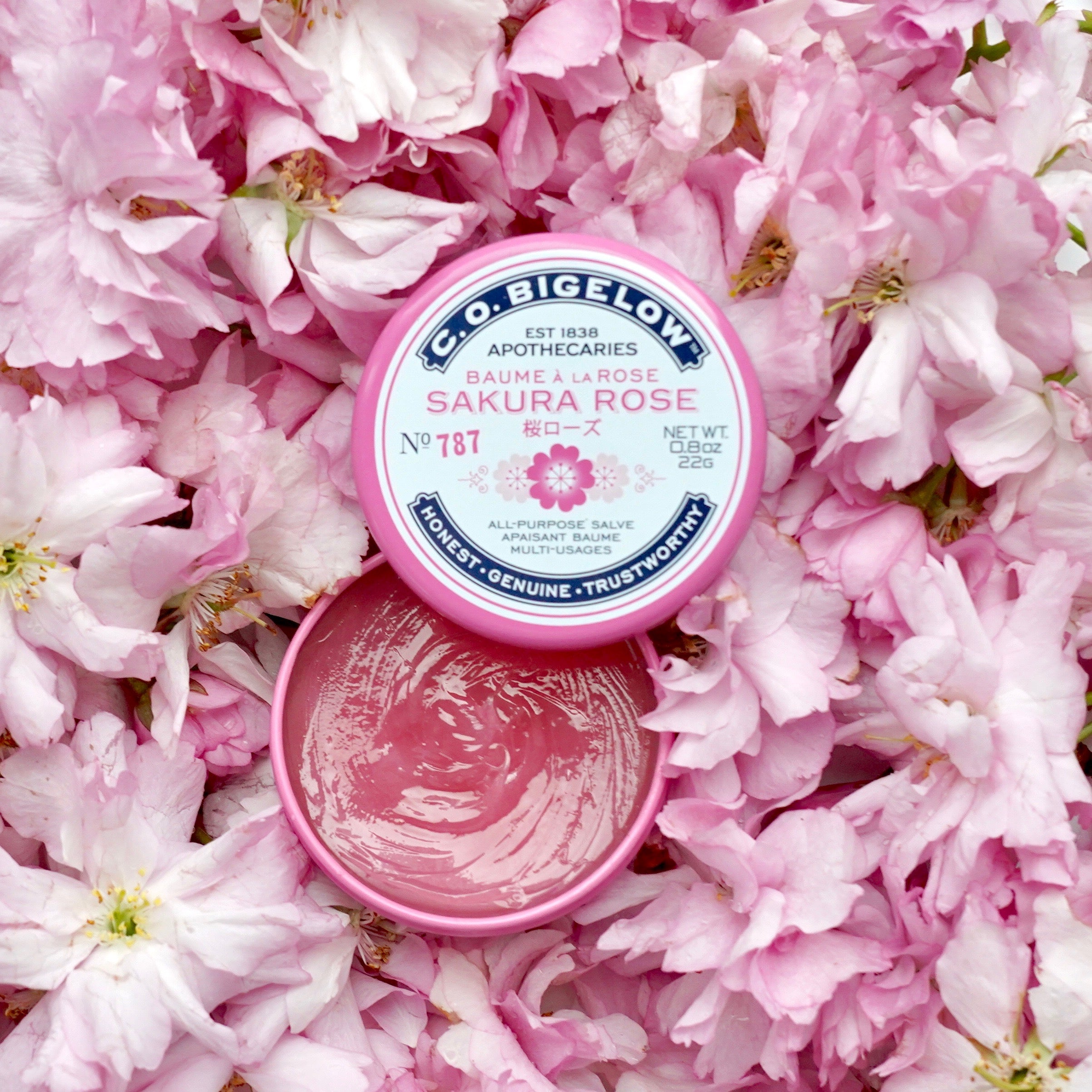 c.o.bigelow rose salve lip balm rose india After YEARS I have fully panned this balm. : r/PanPorn chapped or very dry skin patches. C.O. Bigelow Rose Salve Review