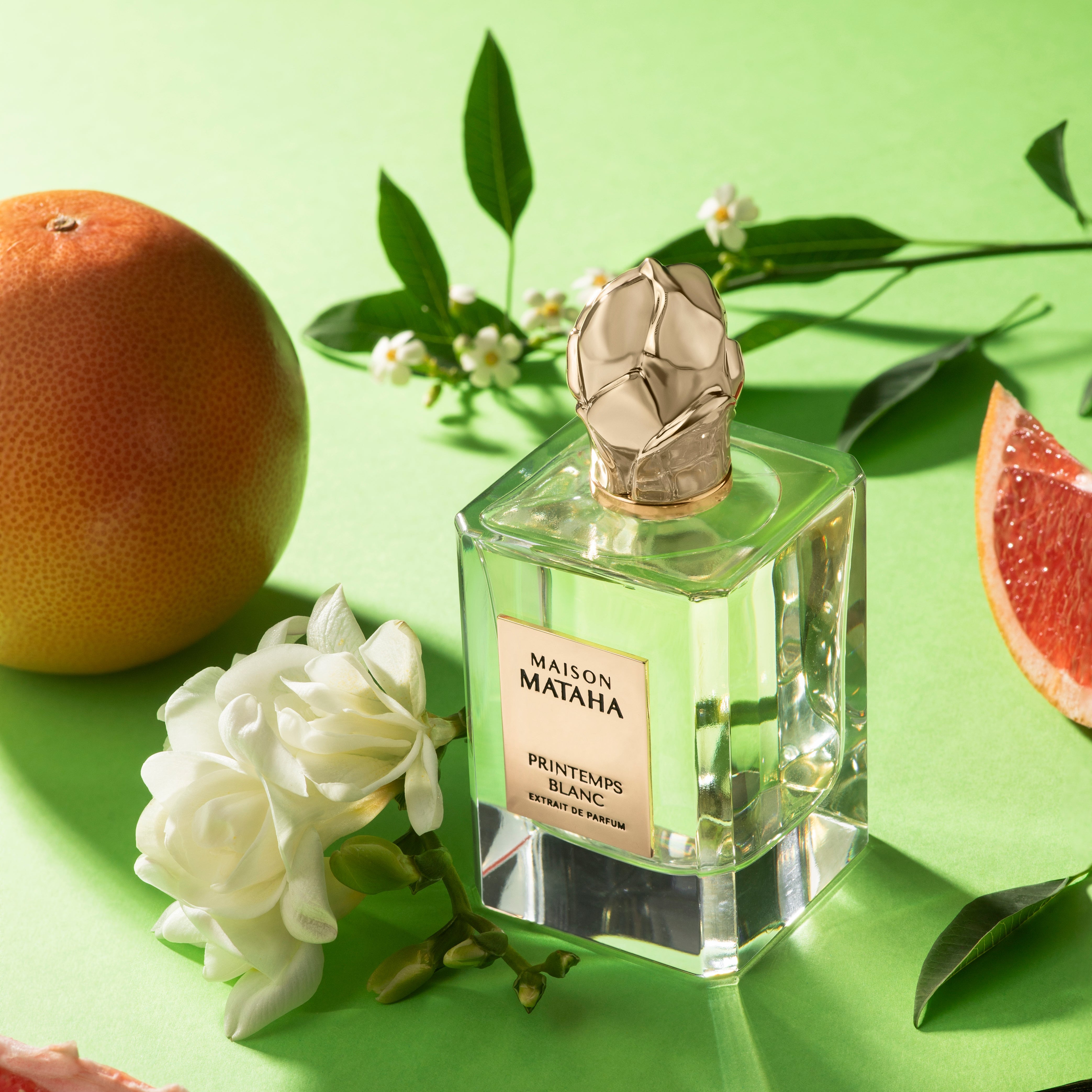 Perfume bottle next to vanilla, flowers, and citrus fruit