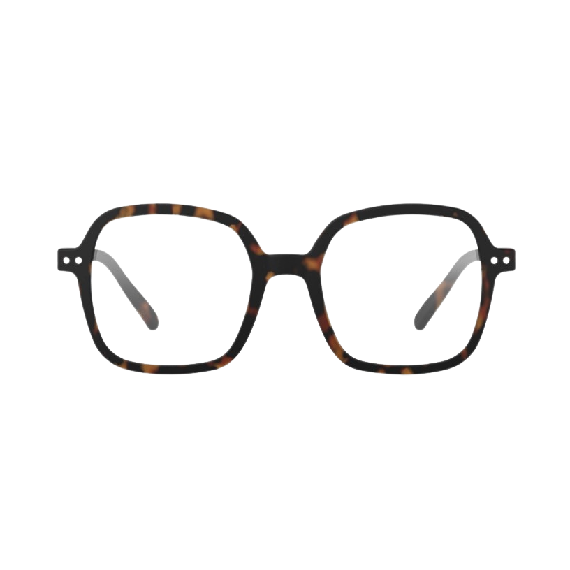 Reading Glasses - Office - Tortoise