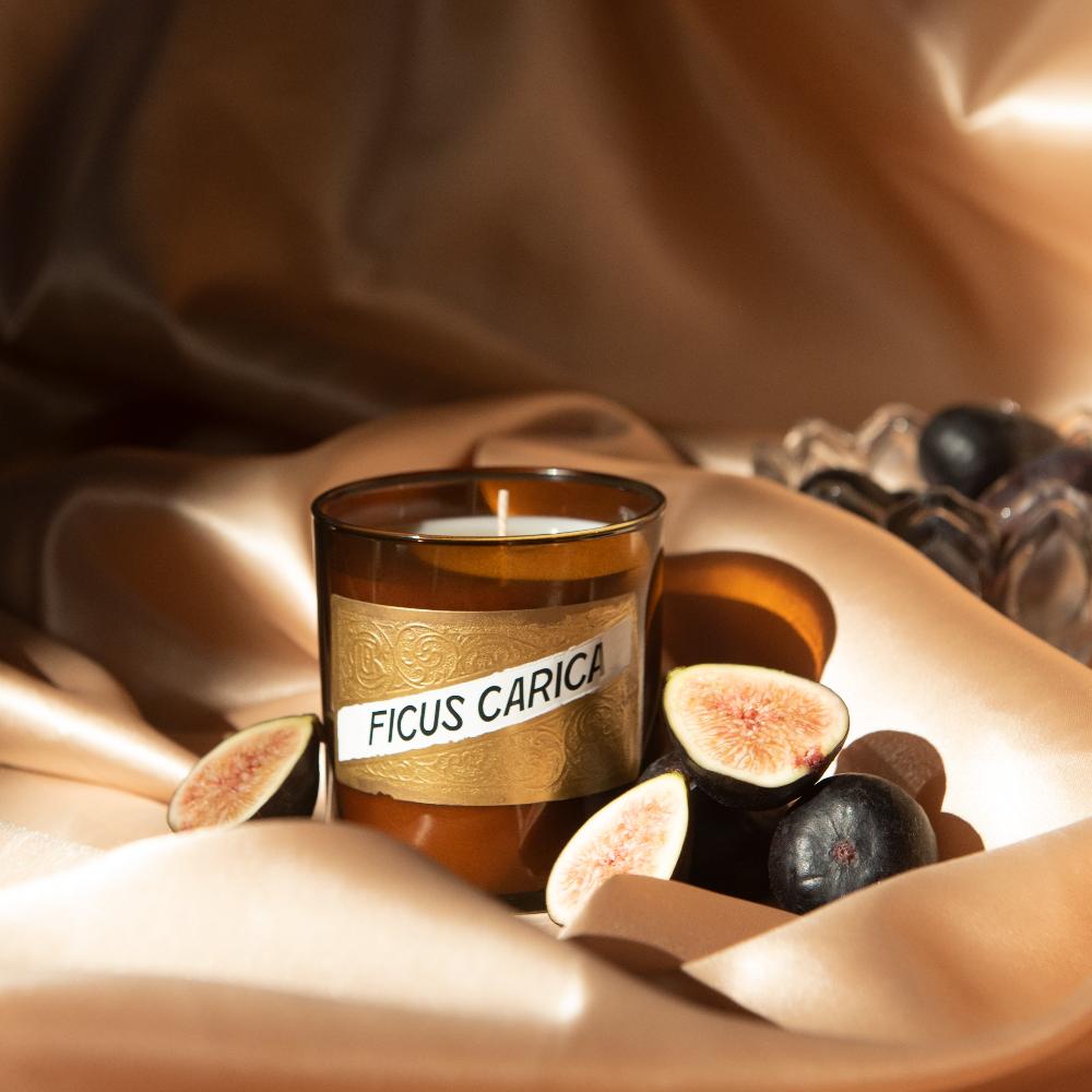 Fig (Ficus Carica) Candle – C.O. Bigelow