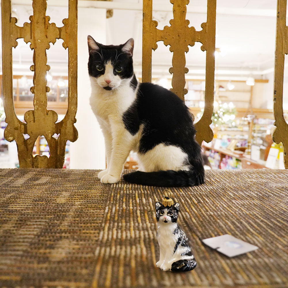 Joy To The World - The Apothecary Cat Ornament