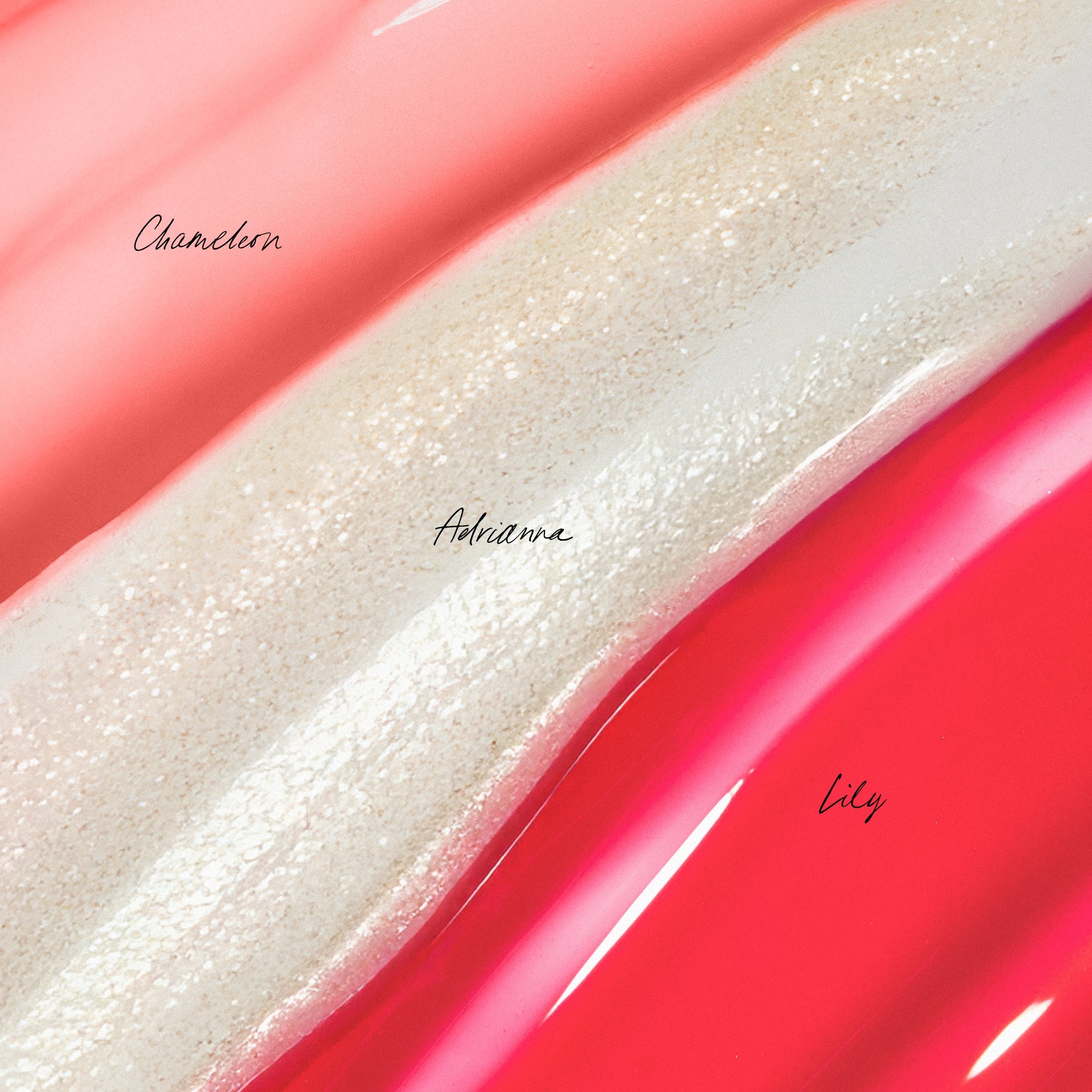 Three different colored lip glosses labeled 'Chameleon', 'Adrianna', and 'Lily.'.