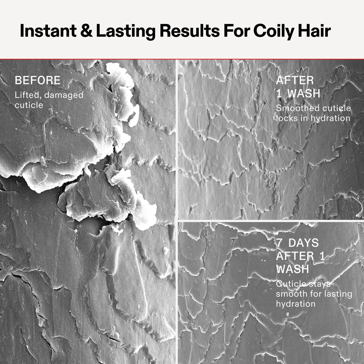 Before and after comparison of coily hair with text indicating results for a hair care product.