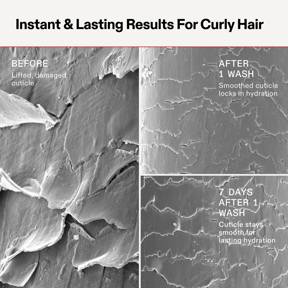 Before and after comparison of curly hair cuticle damage and hydration with text indicating results.