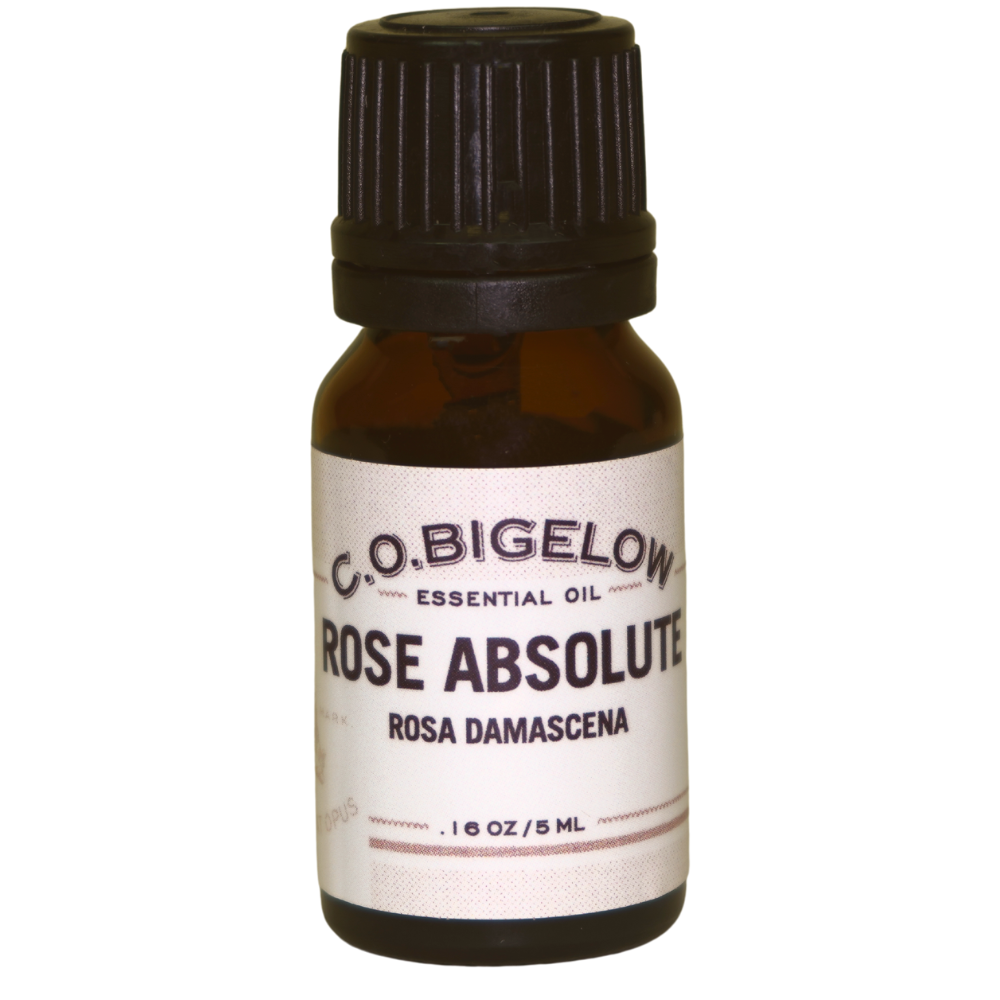 Essential Oil - Rose Absolute - 5 ml