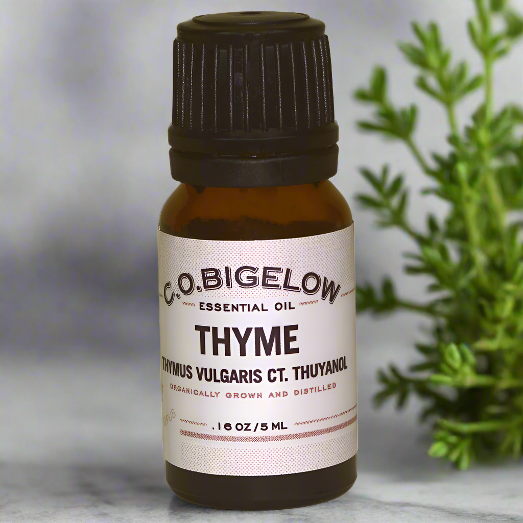 Essential Oil - Thyme - 5 ml