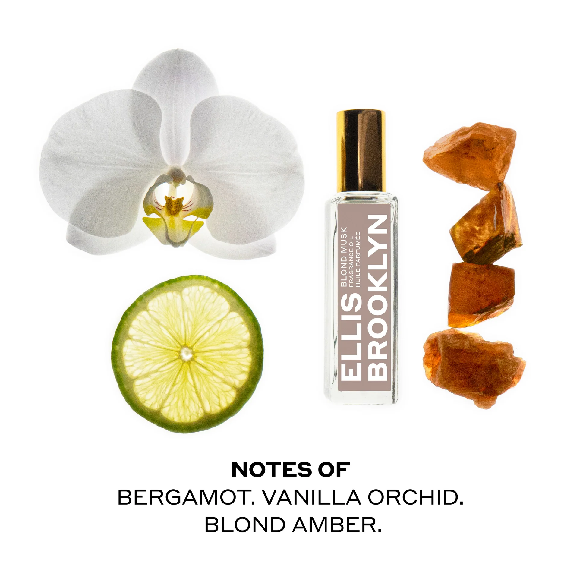 Ellis Brooklyn Blond Musk bottle and ingredients on a white background