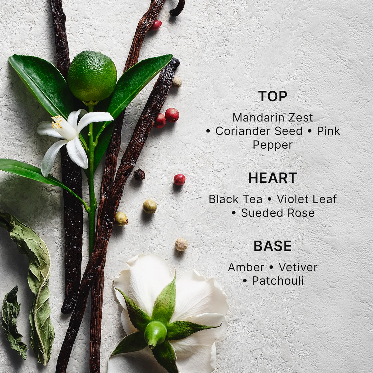 A styled flat-lay of vanilla bean sticks, a lime, a white flower, and peppercorns on a textured light gray surface, with text listing fragrance notes: TOP Mandarin Zest, Coriander Seed, Pink Pepper; HEART Black Tea, Violet Leaf, Sueded Rose; BASE Amber, Vetiver, Patchouli.