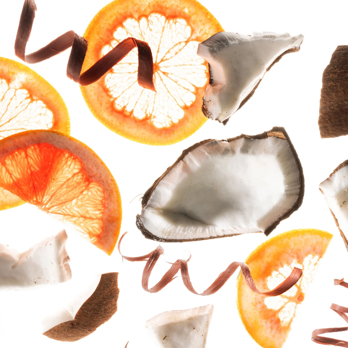 A flat-lay composition of dried citrus slices, coconut halves, and curled brown strips on a clean white background.