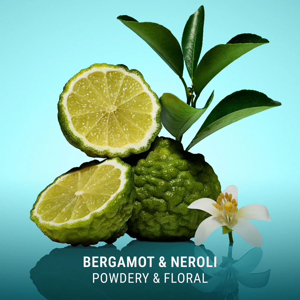 Bergamot fruit with leaves and a flower on a blue background