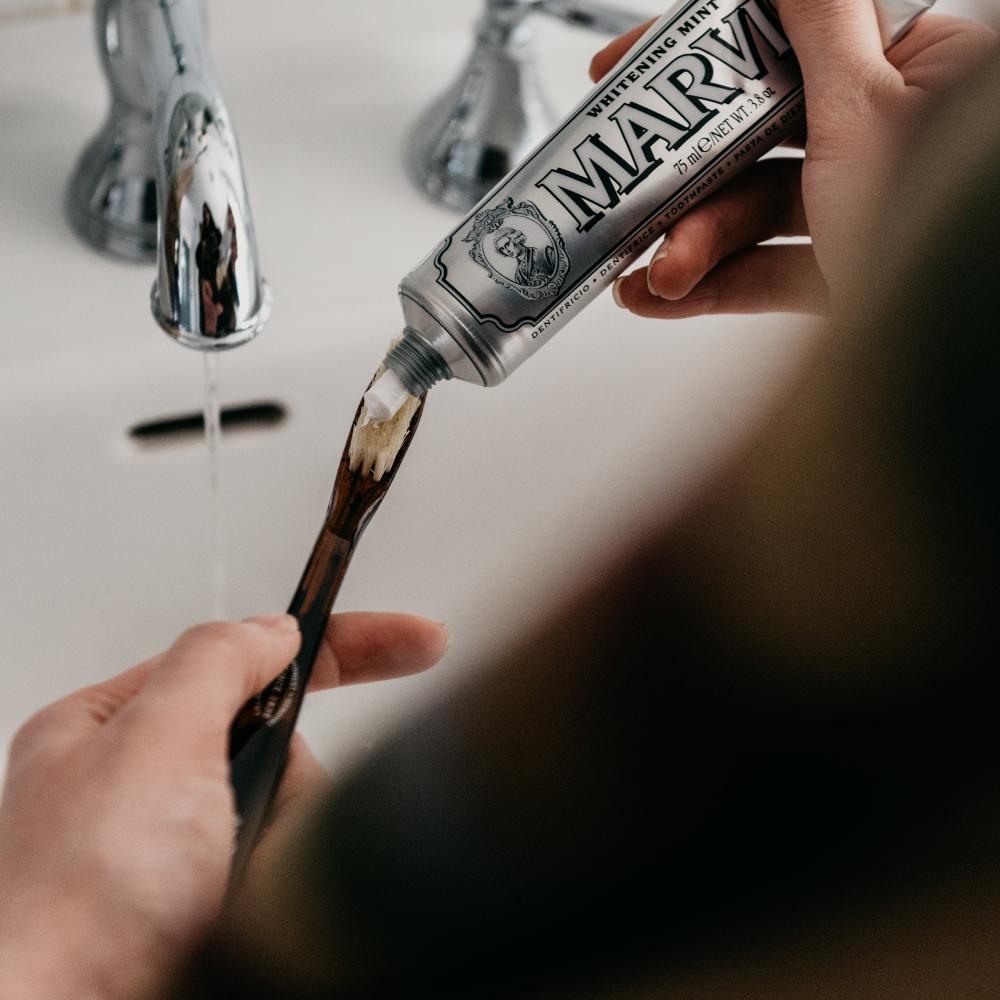 Natural Bristle Toothbrush - Medium Tortoise – C.O. Bigelow