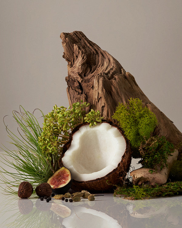 Cocomoi fragrance notes of coconut , surrounded by greenery and a piece of driftwood on a reflective surface.