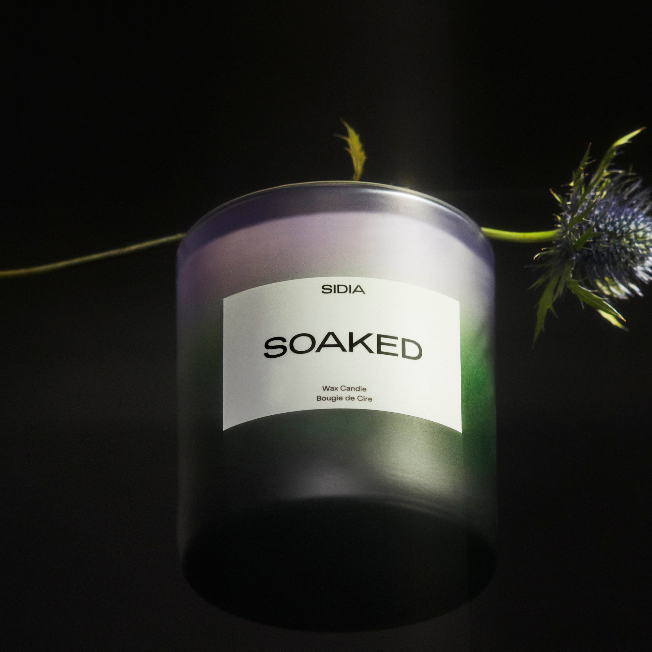 SIDIA candle in "SOAKED" scent in front of a flower on a black background