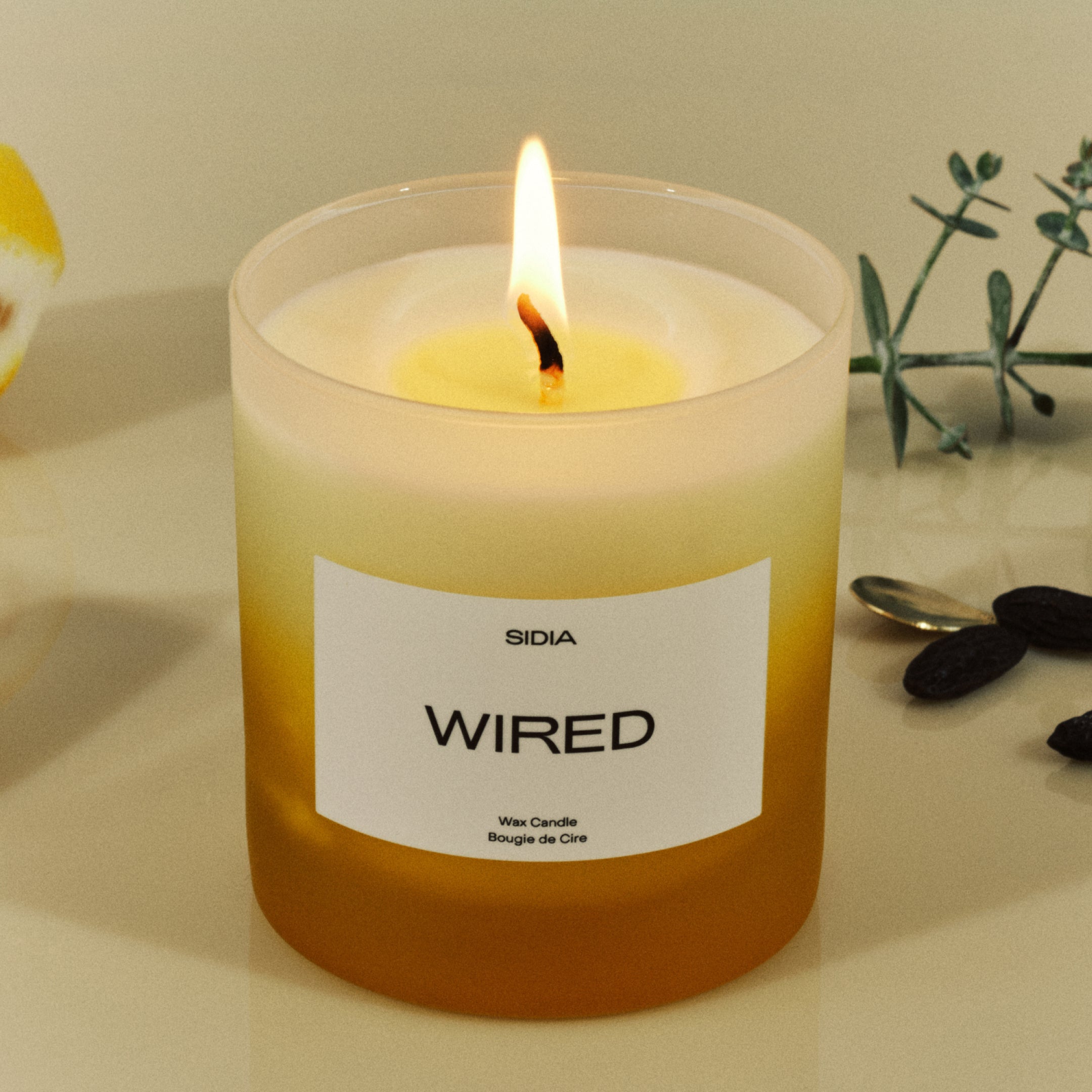 SIDIA candle in the scent "WIRED" on a table amongst other objects