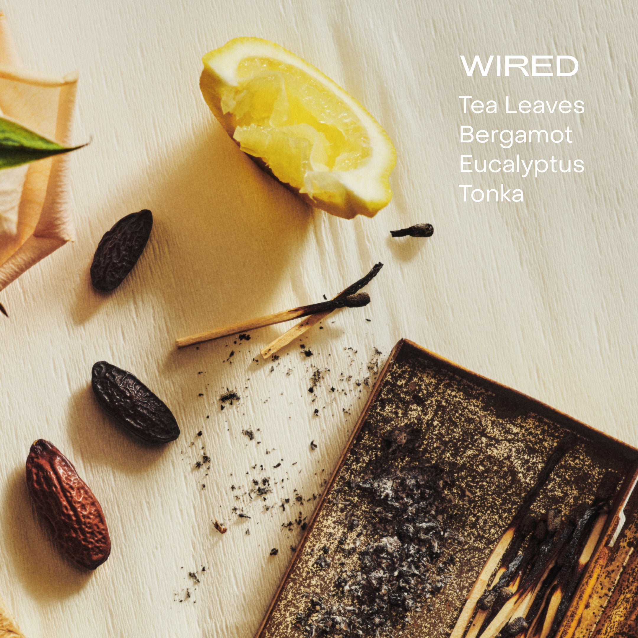 The Body Serum - Wired – C.O. Bigelow