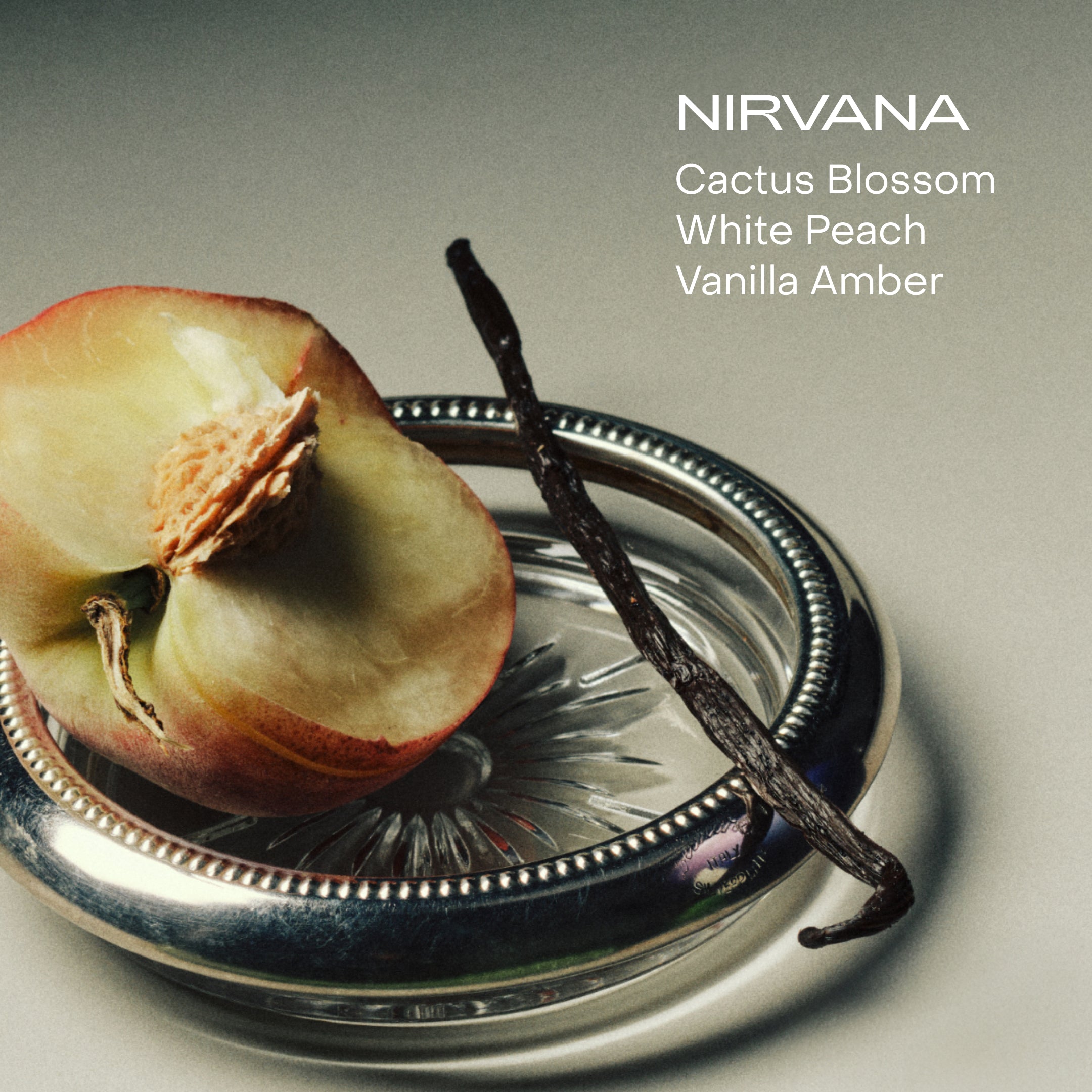 Peach half and vanilla stick in a bowl on  a white background