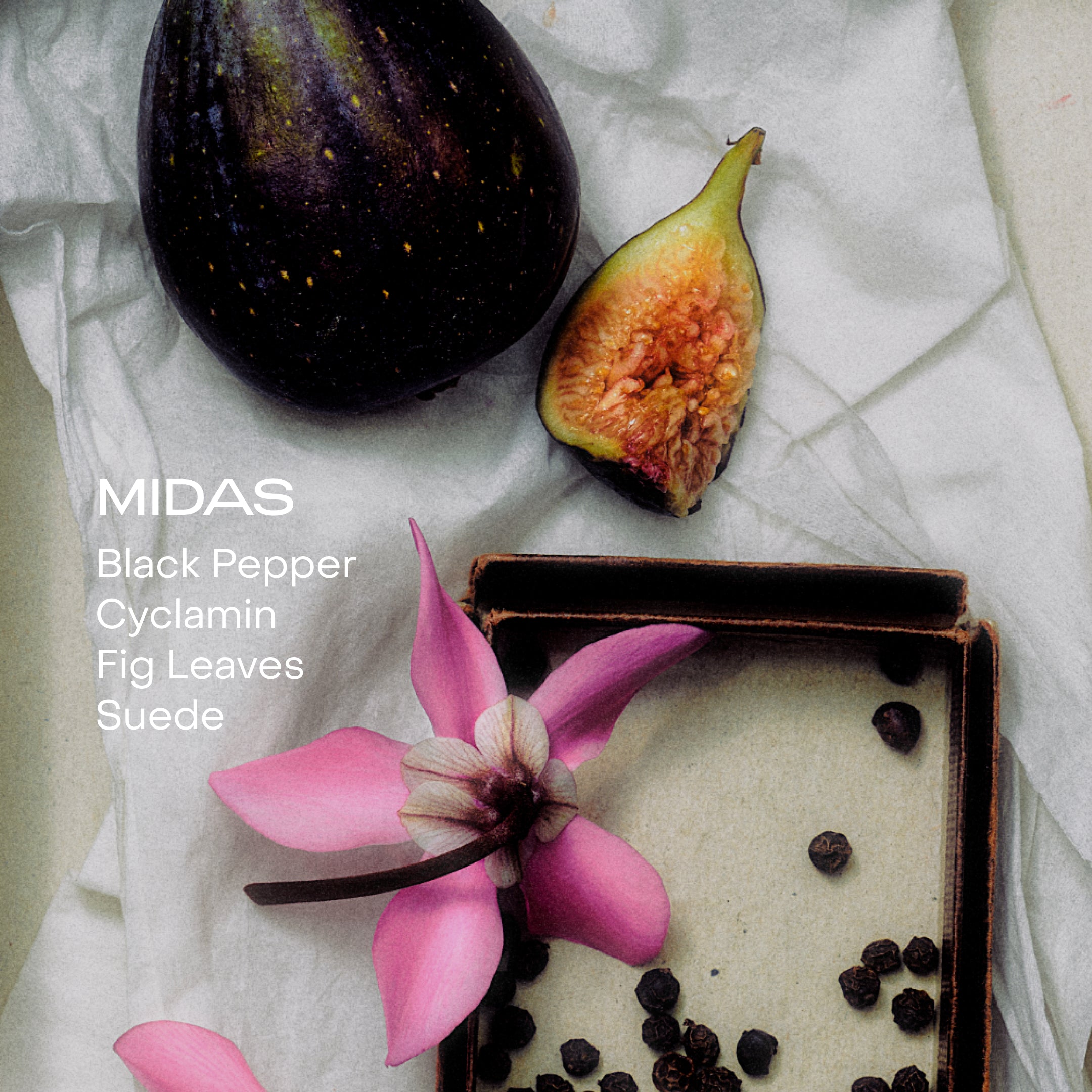 Fig, pink flower, and black pepper on a white fabric background with 'Midas' branding.