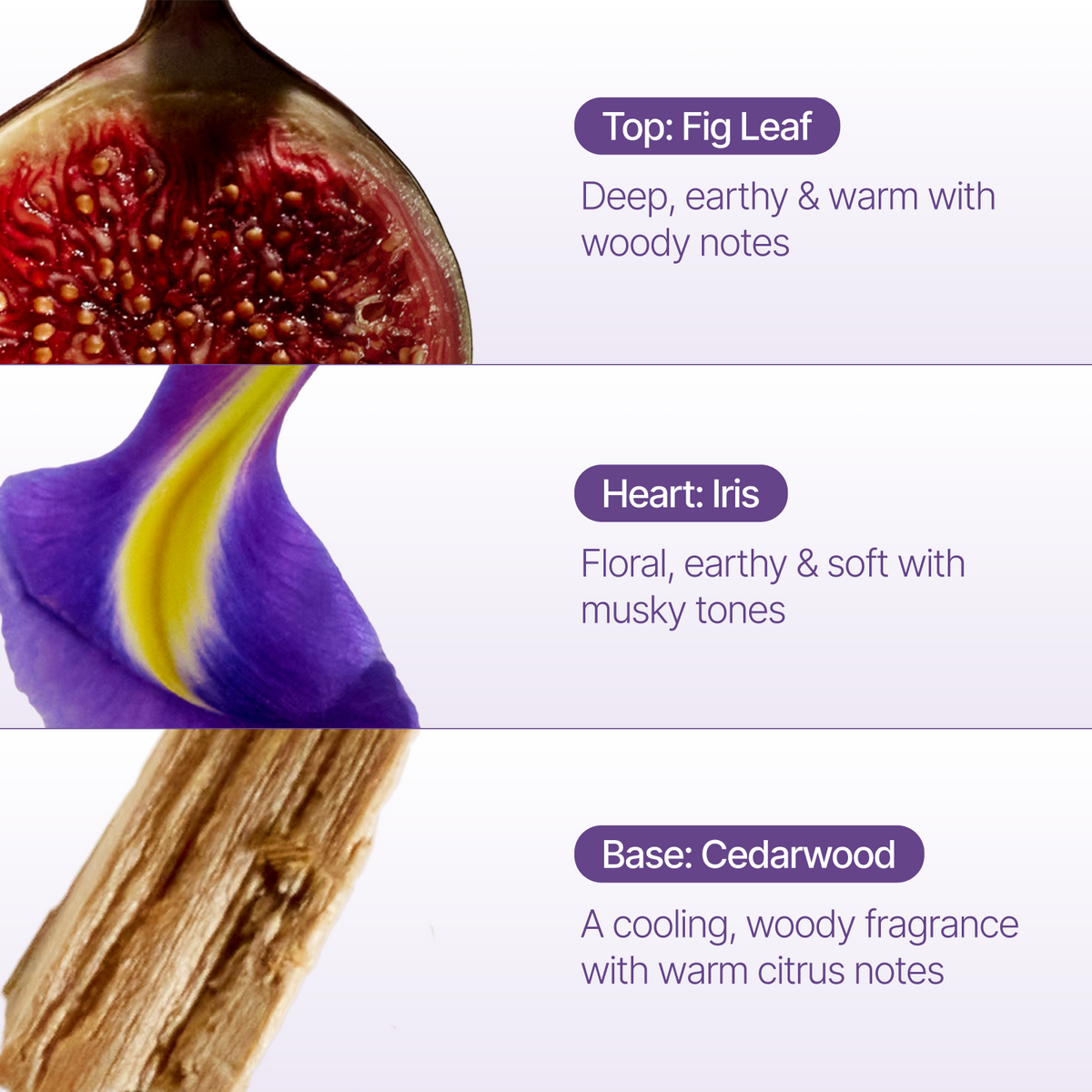 A fragrance notes graphic with three horizontal panels: a fig leaf close-up labeled 'Top: Fig Leaf,' a purple-and-yellow iris flower labeled 'Heart: Iris,' and a wood slice labeled 'Base: Cedarwood,' with scent descriptions beneath each image.