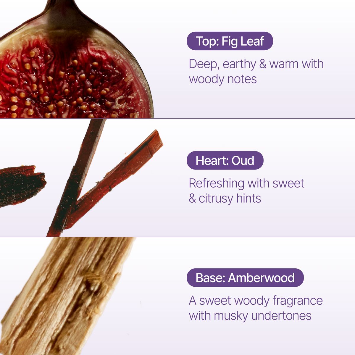 A fragrance notes graphic with three horizontal sections: a close-up of a fig leaf at the top labeled 'Top: Fig Leaf,' a branch segment in the middle labeled 'Heart: Oud,' and a piece of amberwood at the bottom labeled 'Base: Amberwood.' Text describes the scent evolution as deep earthy and warm with woody notes, refreshing with sweet and citrusy hints, and a sweet woody fragrance with musky undertones.