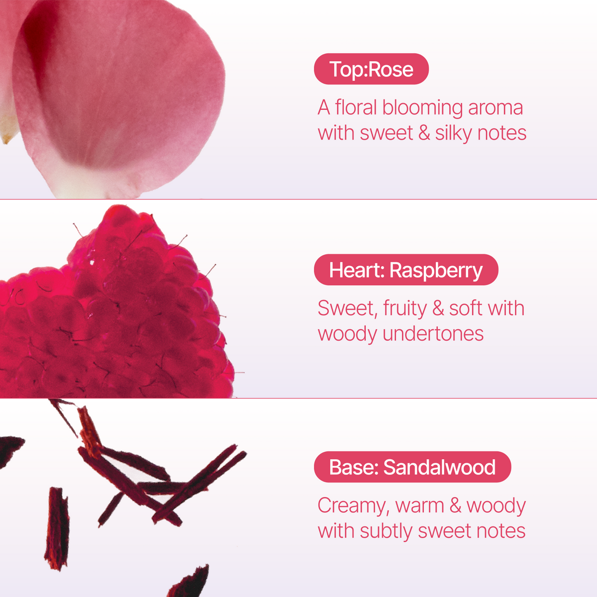 A fragrance notes graphic with three horizontal panels: a pink rose petal labeled Top:Rose, a red raspberry heart labeled Heart: Raspberry, and dark sandalwood pieces labeled Base: Sandalwood, with text describing the scent profile.