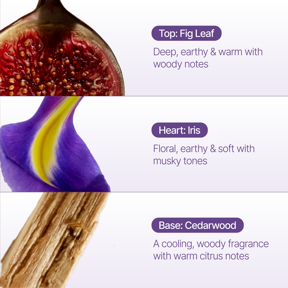 A fragrance notes graphic showing three horizontal panels: a fig leaf at the top labeled 'Top: Fig Leaf', a purple-and-yellow iris flower labeled 'Heart: Iris', and a wood slice labeled 'Base: Cedarwood' with scent descriptions. No physical product is visible.