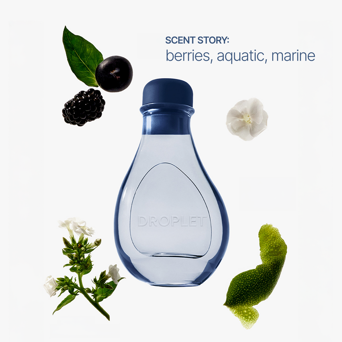 A clear glass perfume bottle with a dark blue cap and blue-tinted liquid, labeled 'DROPLET', centered on a white background with botanical scent cues: blackberries, a green leaf, white flowers, and a green peel. Text reads 'SCENT STORY: berries, aquatic, marine'.