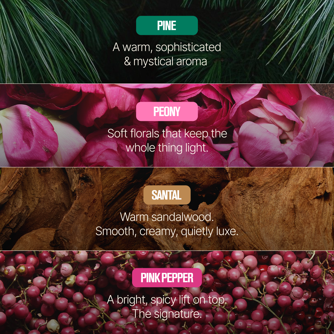 Photo of Pine, peony, Santal and Pink Pepper in strips.