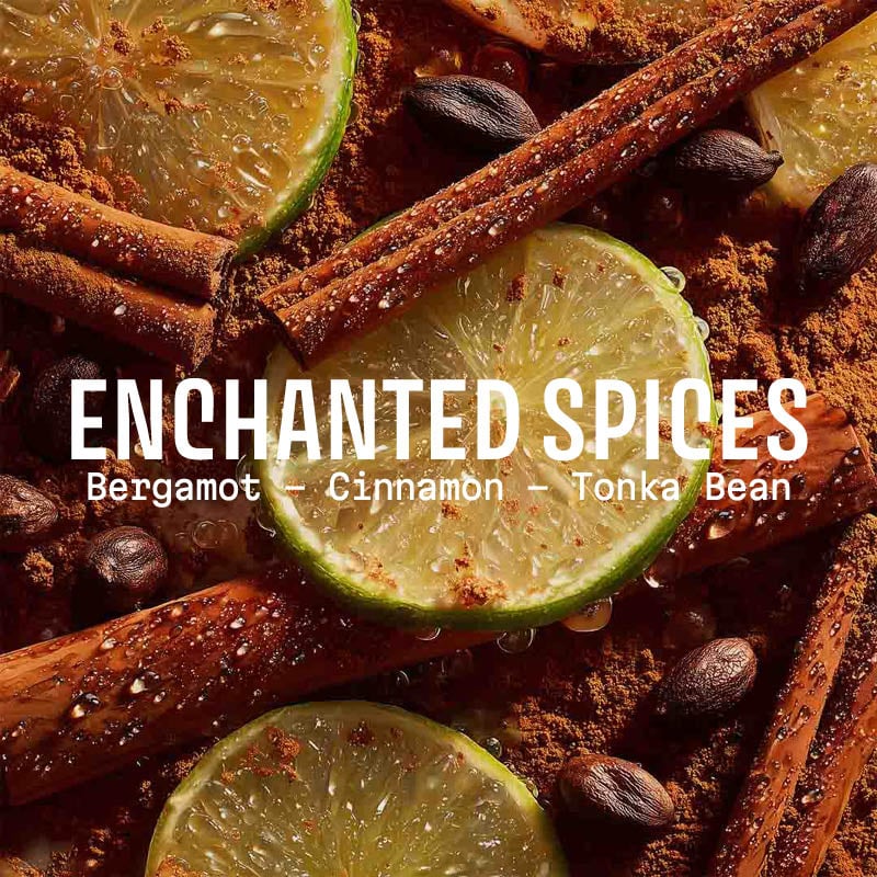 Spices including cinnamon sticks, lime slices, and tonka beans with 'Enchanted Spices' text overlay.