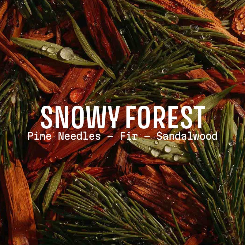 Close-up of pine needles, fir, and sandalwood with 'Snowy Forest' fragrance notes text overlay.