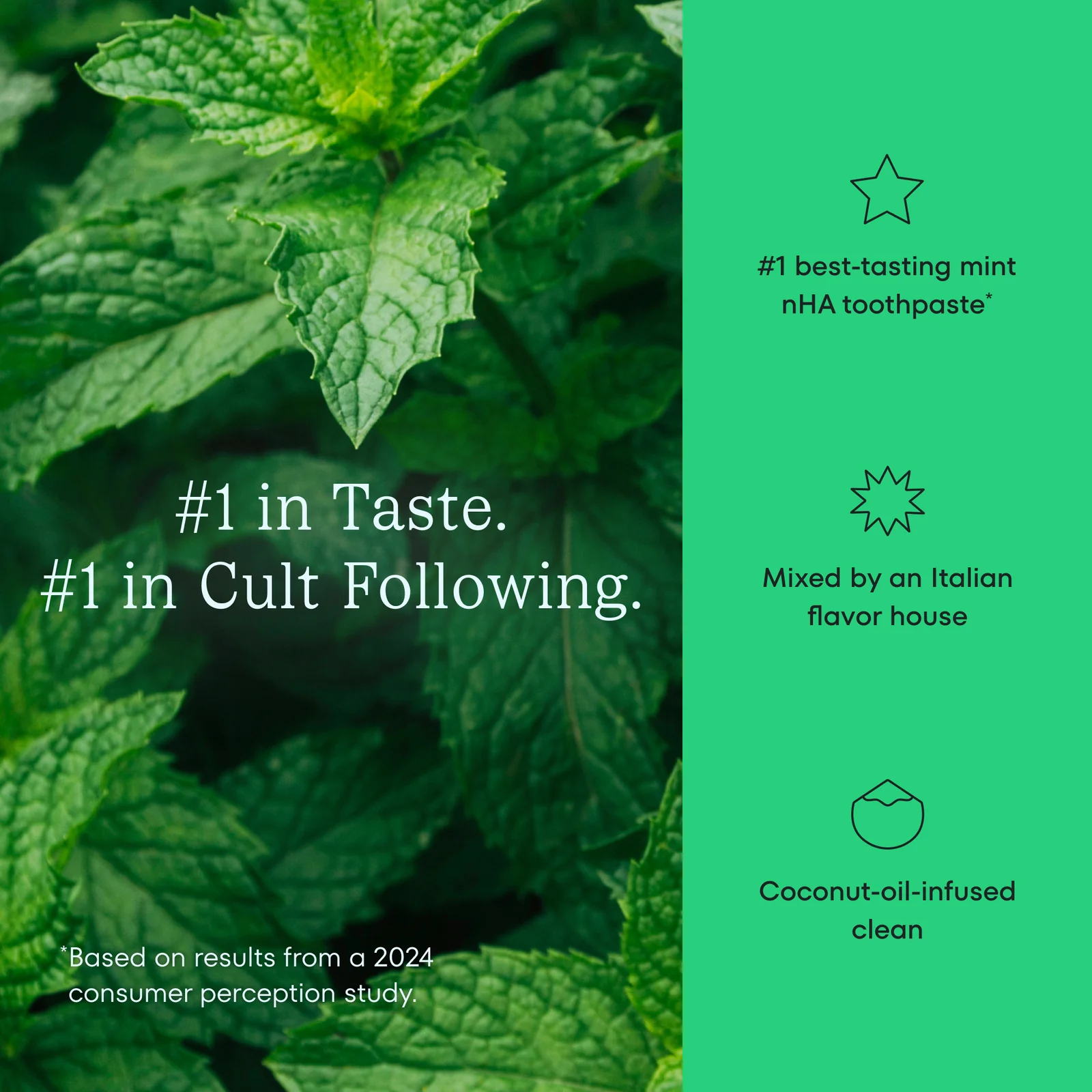 Mint leaves with promotional text and icons on a green background