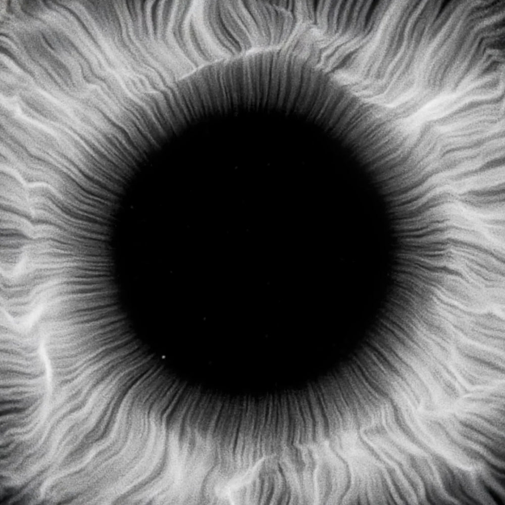 Close-up of a textured circular object with concentric patterns