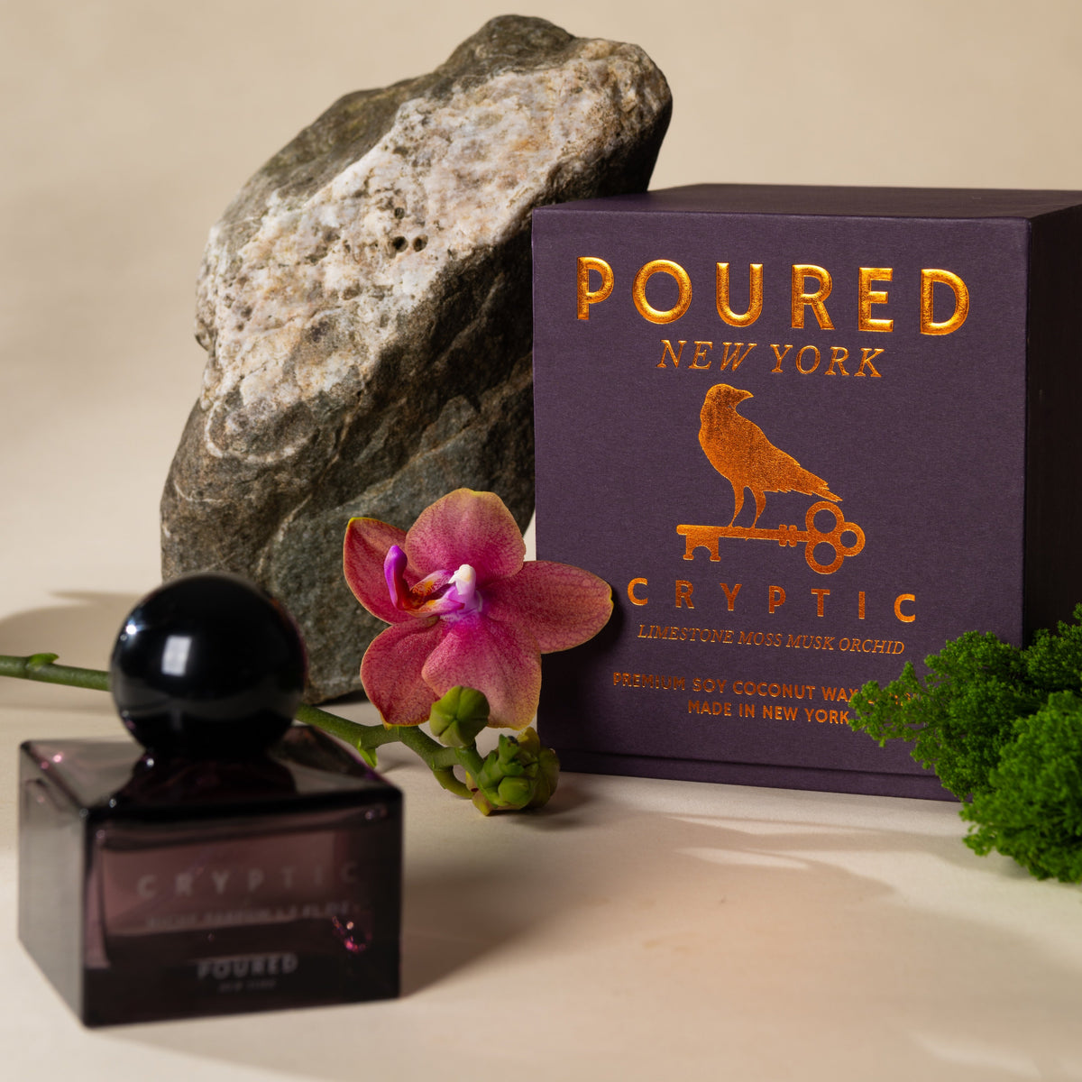 Cryptic candle surround by limestone moss and orchid on grey background 