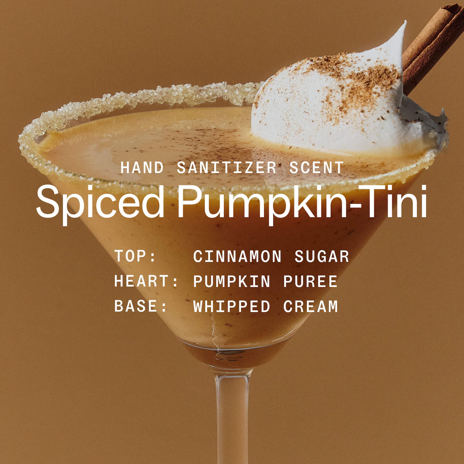 Power Mist Hydrating Hand Sanitizer - Spiced Pumpkintini