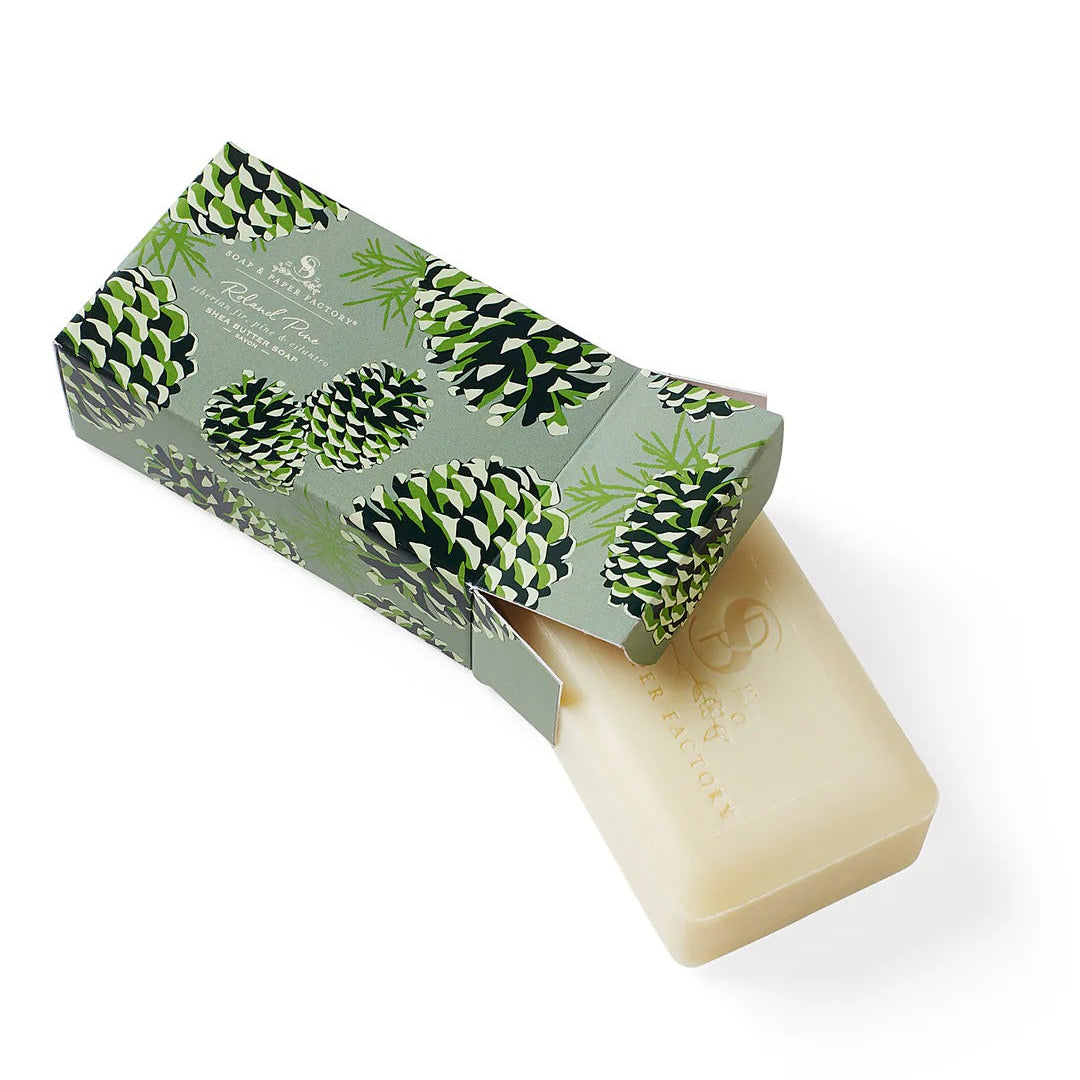 Roland Pine soap box with pine cone design on a white background