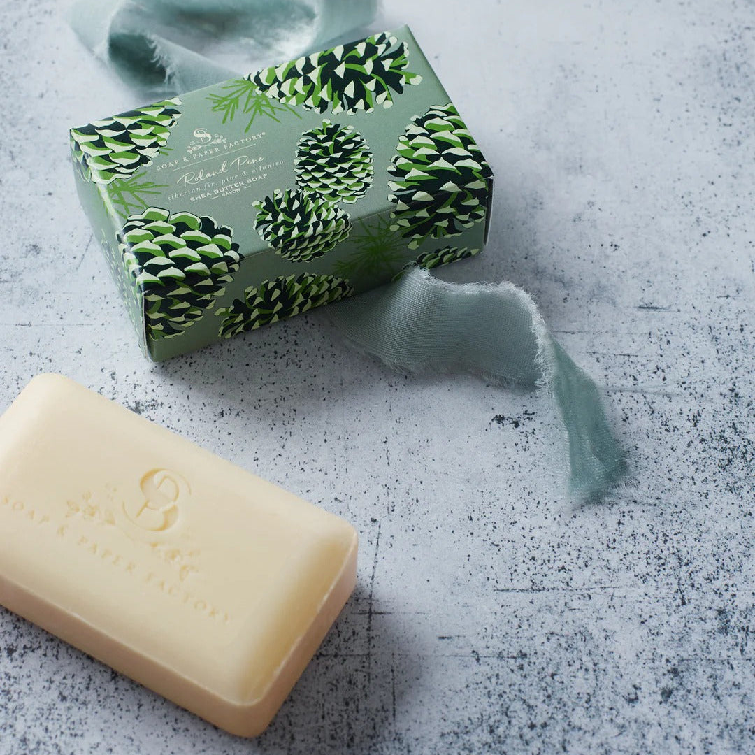 Roland Pine soap box with pine cone design on a grey background