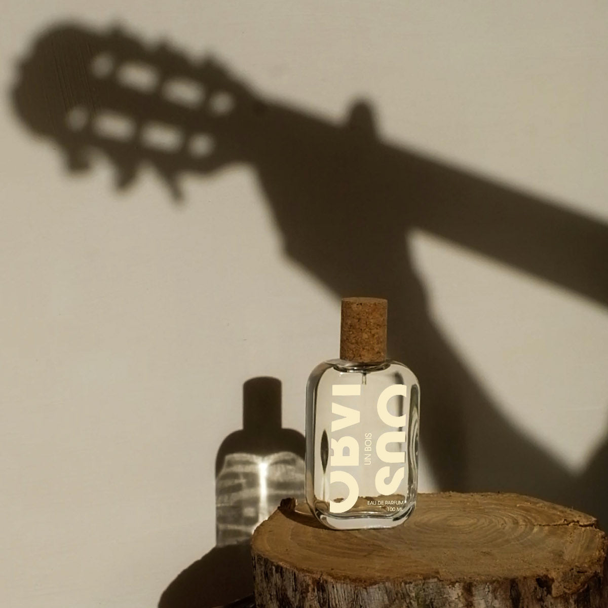 A bottle on a wooden stump with a guitar's shadow on the wall.