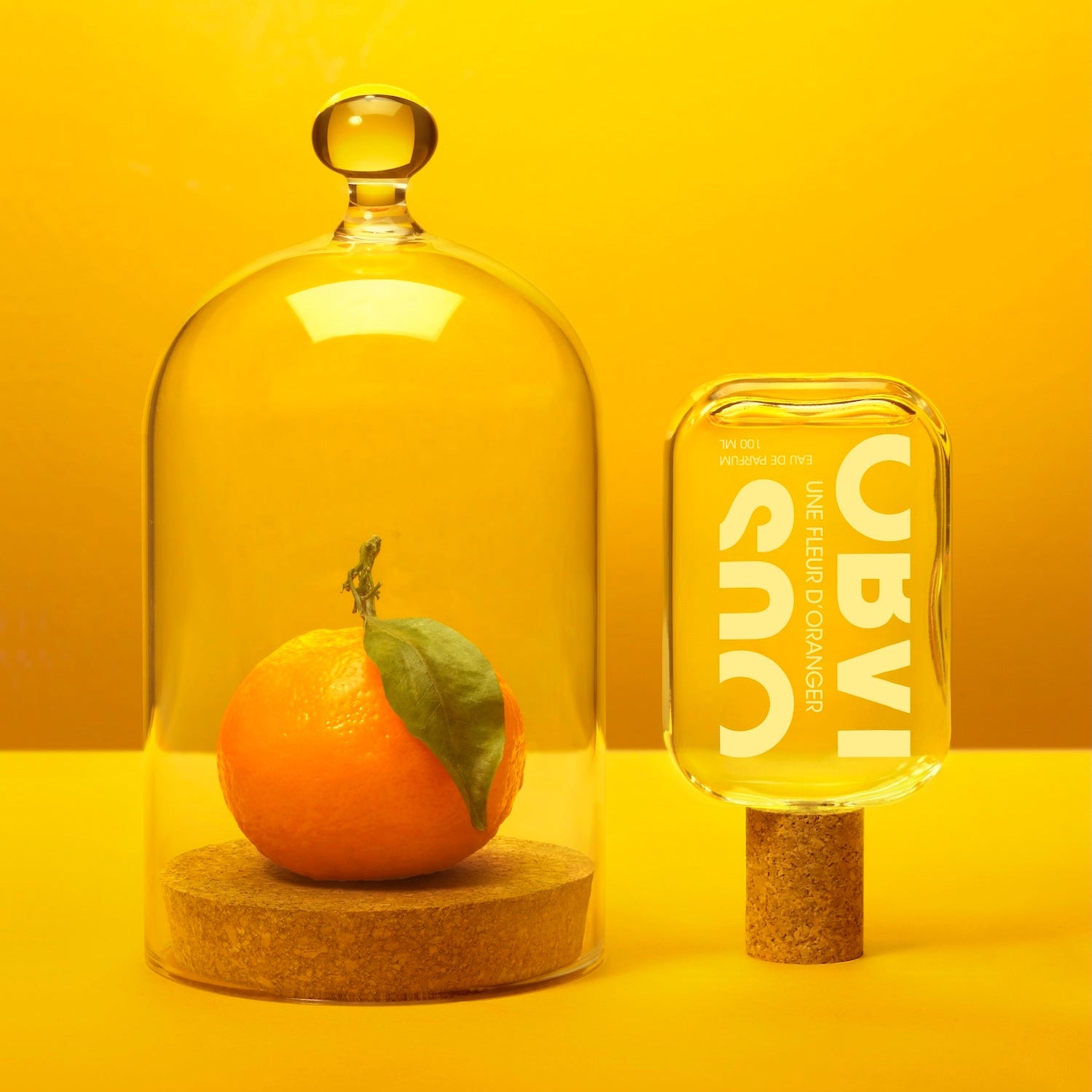 Orange under a glass dome with a perfume bottle on a yellow background