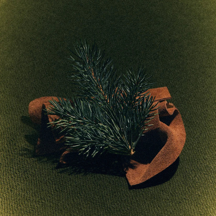 Library in a Forest Candle